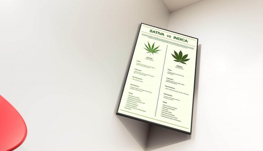 Digital Signage for Entrance in Dispensary